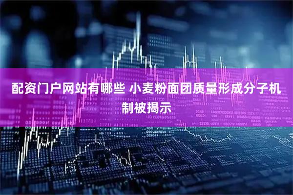 配资门户网站有哪些 小麦粉面团质量形成分子机制被揭示