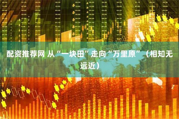 配资推荐网 从“一块田”走向“万里原”（相知无远近）